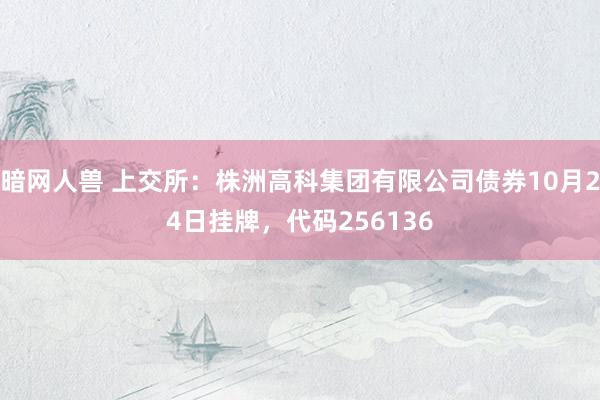暗网人兽 上交所：株洲高科集团有限公司债券10月24日挂牌，代码256136