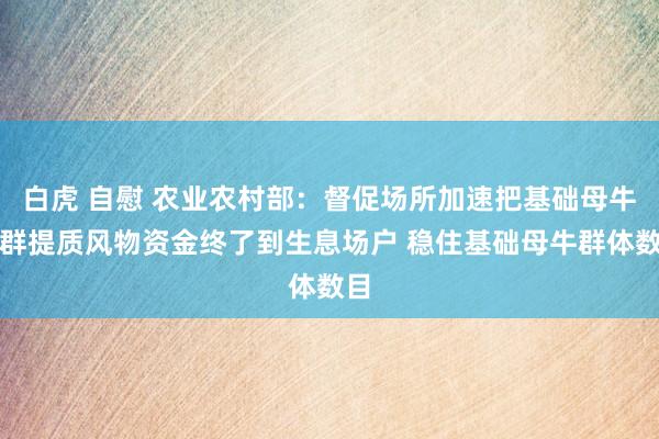 白虎 自慰 农业农村部：督促场所加速把基础母牛扩群提质风物资金终了到生息场户 稳住基础母牛群体数目