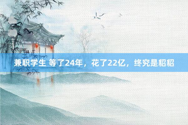 兼职学生 等了24年，花了22亿，终究是貂貂