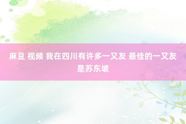 麻豆 视频 我在四川有许多一又友 最佳的一又友是苏东坡