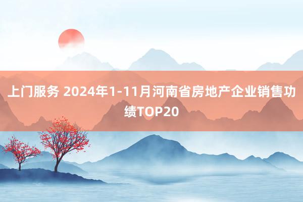 上门服务 2024年1-11月河南省房地产企业销售功绩TOP20