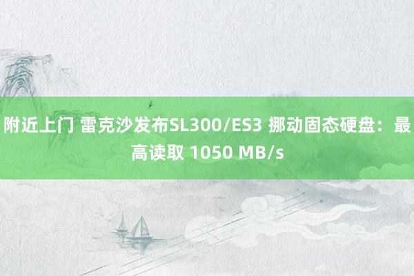 附近上门 雷克沙发布SL300/ES3 挪动固态硬盘：最高读取 1050 MB/s