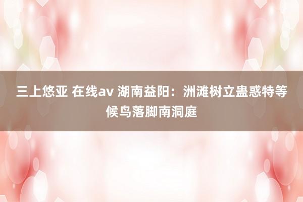 三上悠亚 在线av 湖南益阳：洲滩树立蛊惑特等候鸟落脚南洞庭