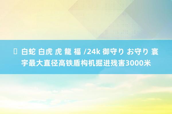 ✨白蛇 白虎 虎 龍 福 /24k 御守り お守り 寰宇最大直径高铁盾构机掘进残害3000米