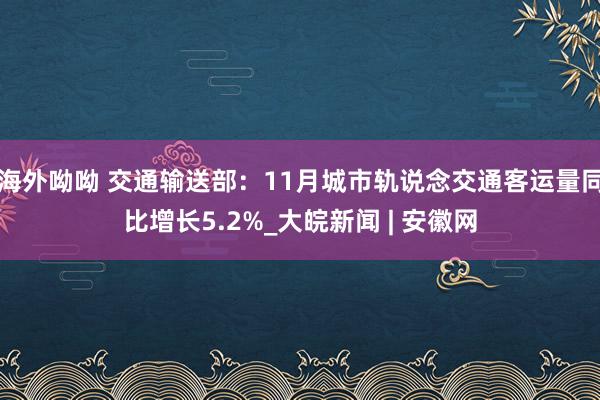 海外呦呦 交通输送部：11月城市轨说念交通客运量同比增长5.2%_大皖新闻 | 安徽网