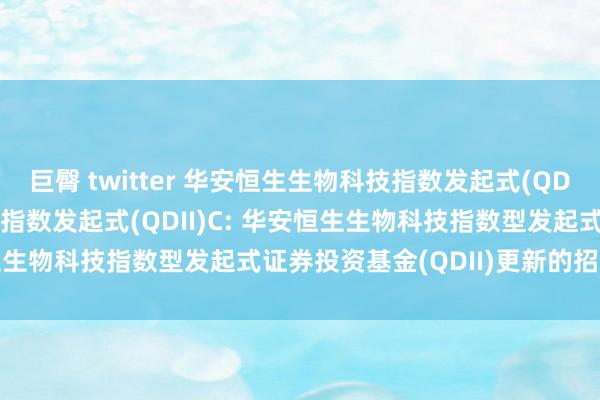 巨臀 twitter 华安恒生生物科技指数发起式(QDII)A,华安恒生生物科技指数发起式(QDII)C: 华安恒生生物科技指数型发起式证券投资基金(QDII)更新的招募说明书
