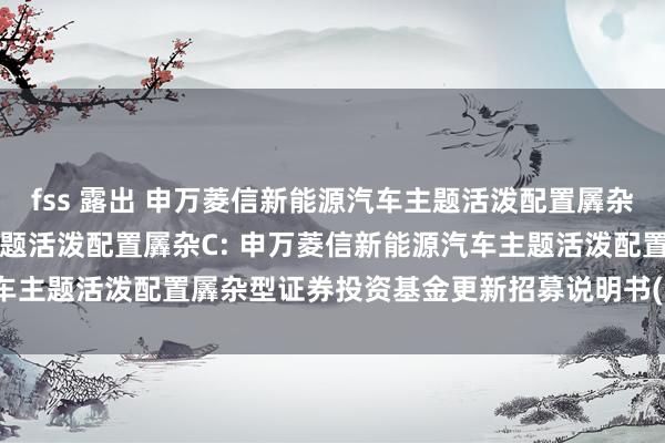 fss 露出 申万菱信新能源汽车主题活泼配置羼杂A,申万菱信新能源汽车主题活泼配置羼杂C: 申万菱信新能源汽车主题活泼配置羼杂型证券投资基金更新招募说明书(2024年第1号)