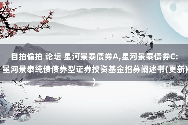 自拍偷拍 论坛 星河景泰债券A,星河景泰债券C: 星河景泰纯债债券型证券投资基金招募阐述书(更新)