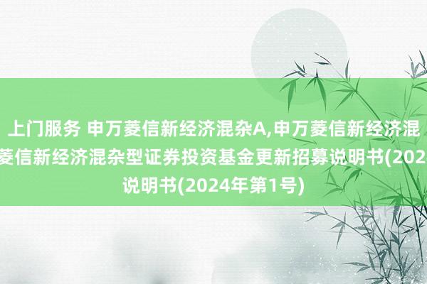 上门服务 申万菱信新经济混杂A,申万菱信新经济混杂C: 申万菱信新经济混杂型证券投资基金更新招募说明书(2024年第1号)
