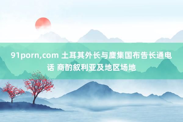 91porn,com 土耳其外长与麇集国布告长通电话 商酌叙利亚及地区场地