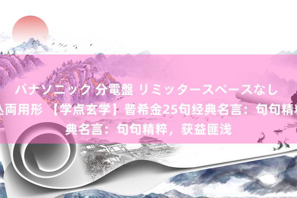 パナソニック 分電盤 リミッタースペースなし 露出・半埋込両用形 【学点玄学】普希金25句经典名言：句句精粹，获益匪浅