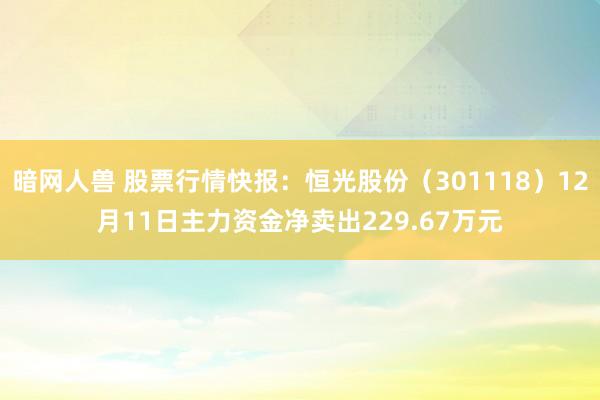 暗网人兽 股票行情快报：恒光股份（301118）12月11日主力资金净卖出229.67万元