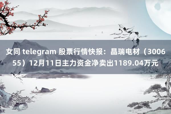 女同 telegram 股票行情快报：晶瑞电材（300655）12月11日主力资金净卖出1189.04万元