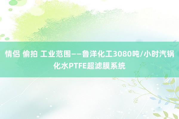情侣 偷拍 工业范围——鲁洋化工3080吨/小时汽锅化水PTFE超滤膜系统
