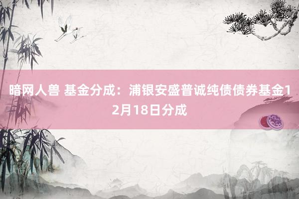 暗网人兽 基金分成：浦银安盛普诚纯债债券基金12月18日分成