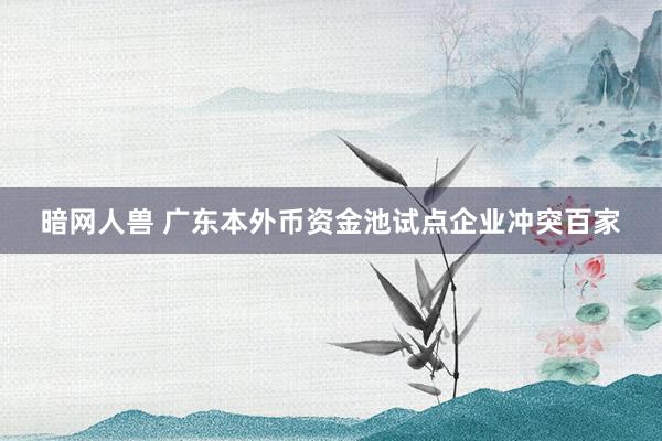 暗网人兽 广东本外币资金池试点企业冲突百家