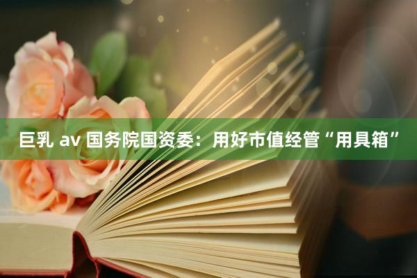 巨乳 av 国务院国资委：用好市值经管“用具箱”