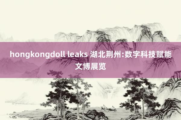 hongkongdoll leaks 湖北荆州:数字科技赋能文博展览