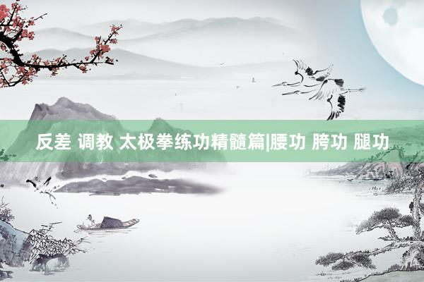 反差 调教 太极拳练功精髓篇|腰功 胯功 腿功