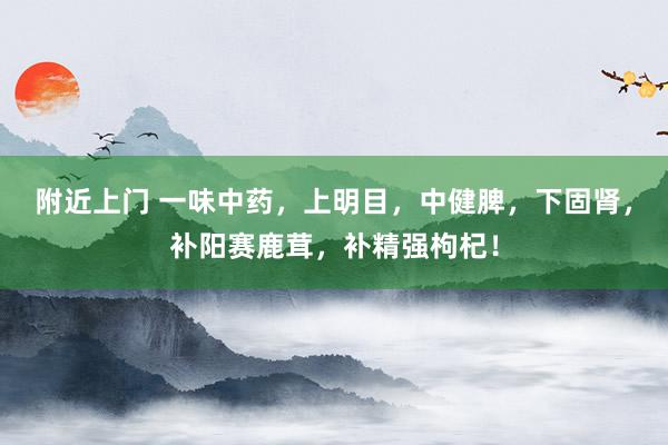 附近上门 一味中药，上明目，中健脾，下固肾，补阳赛鹿茸，补精强枸杞！