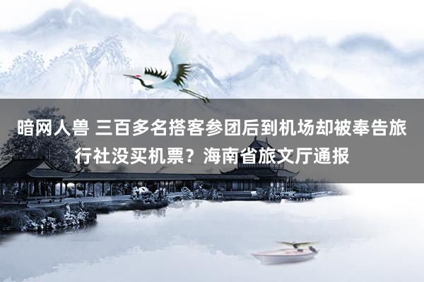 暗网人兽 三百多名搭客参团后到机场却被奉告旅行社没买机票？海南省旅文厅通报