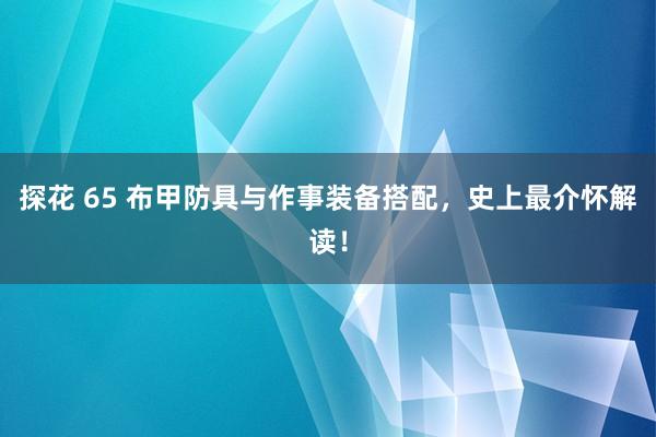 探花 65 布甲防具与作事装备搭配，史上最介怀解读！