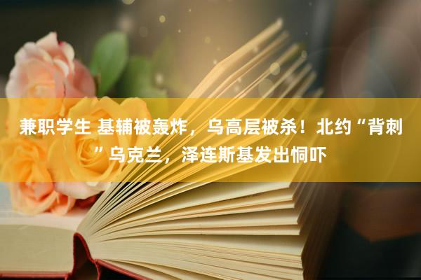 兼职学生 基辅被轰炸，乌高层被杀！北约“背刺”乌克兰，泽连斯基发出恫吓