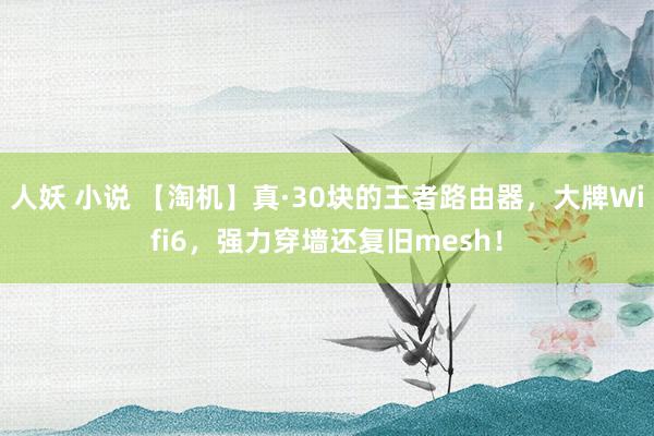 人妖 小说 【淘机】真·30块的王者路由器，大牌Wifi6，强力穿墙还复旧mesh！