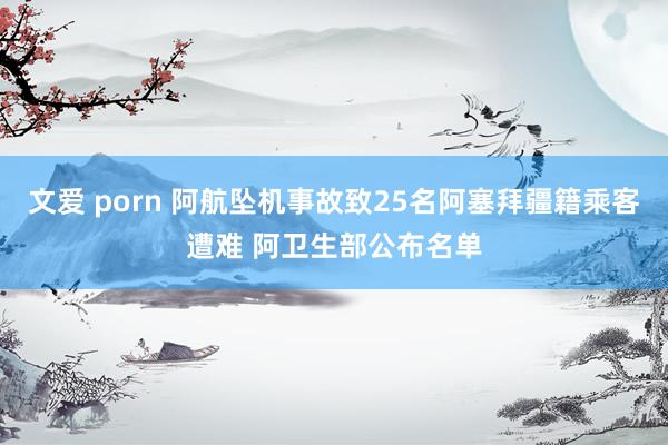 文爱 porn 阿航坠机事故致25名阿塞拜疆籍乘客遭难 阿卫生部公布名单