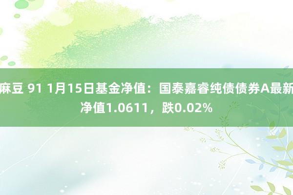 麻豆 91 1月15日基金净值：国泰嘉睿纯债债券A最新净值1.0611，跌0.02%