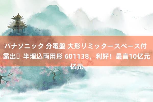 パナソニック 分電盤 大形リミッタースペース付 露出・半埋込両用形 601138，利好！最高10亿元